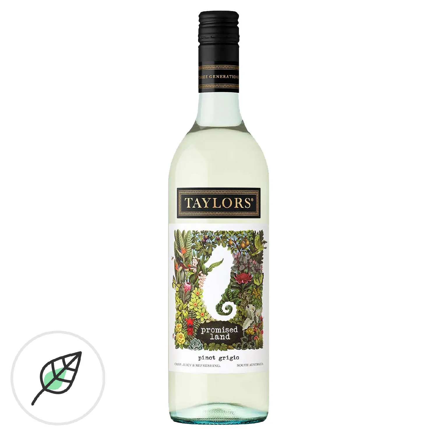 Taylors Promised Land Pinot Grigio 2023